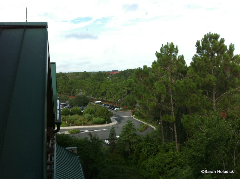Poly View from Room